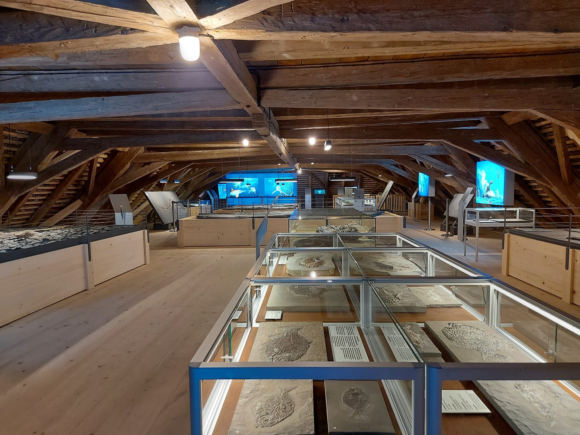 Urwelt-Museum Bodman Dachstock
