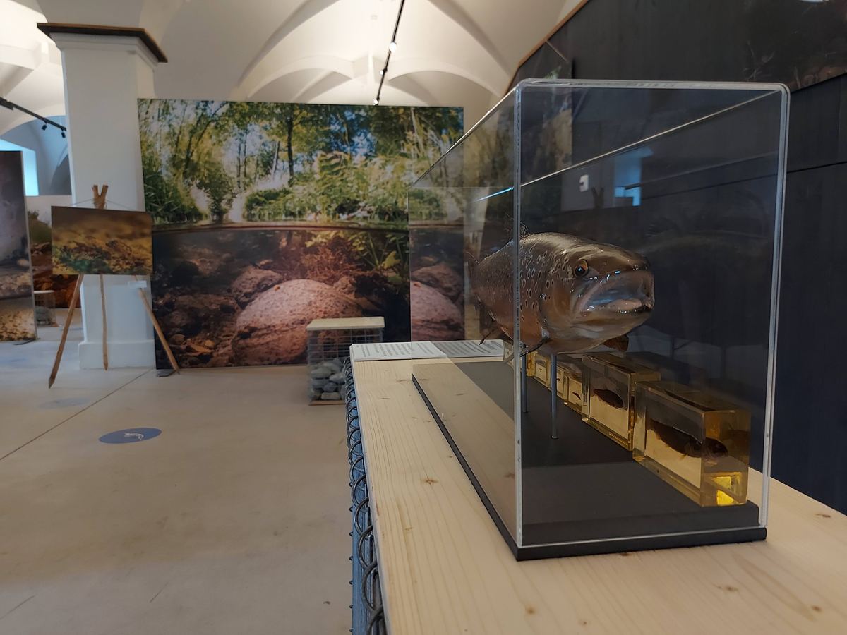 Seemuseum
